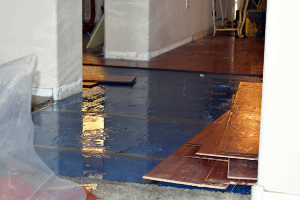 Professional Basement Flood Cleanup technician working in Clarks Mills, PA